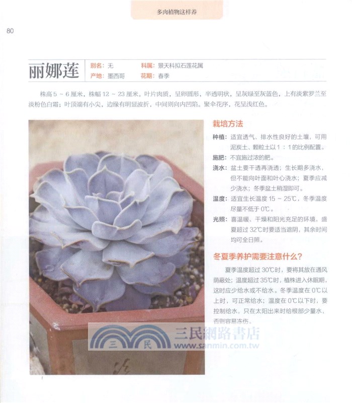 多肉植物這樣養（簡體書）