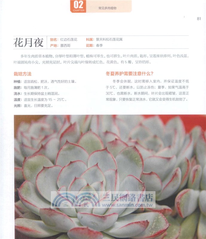 多肉植物這樣養（簡體書）