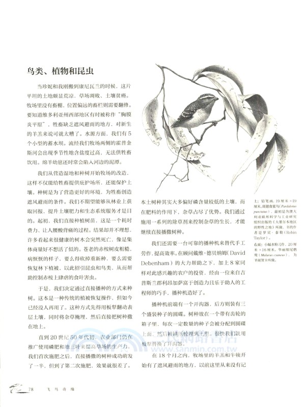 飛鳥奇緣：理查德‧韋瑟利觀鳥手繪與歷險筆記（簡體書）