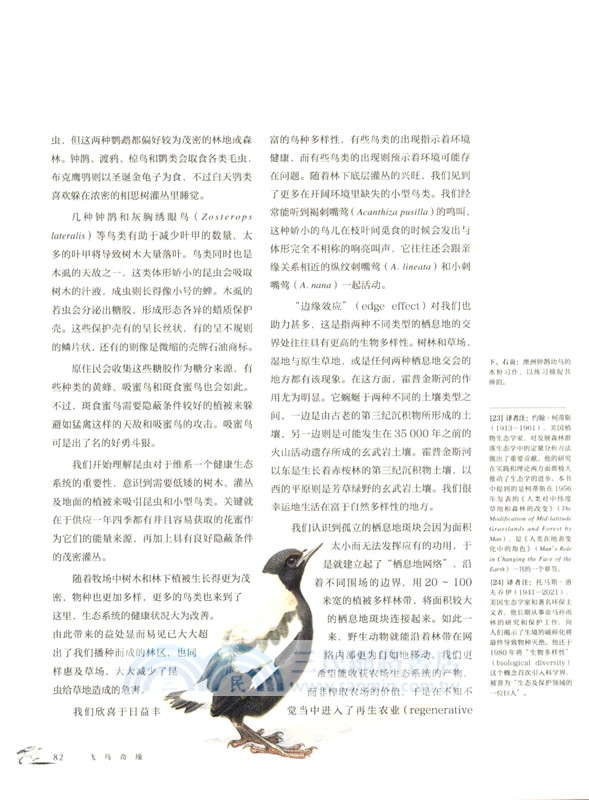 飛鳥奇緣：理查德‧韋瑟利觀鳥手繪與歷險筆記（簡體書）