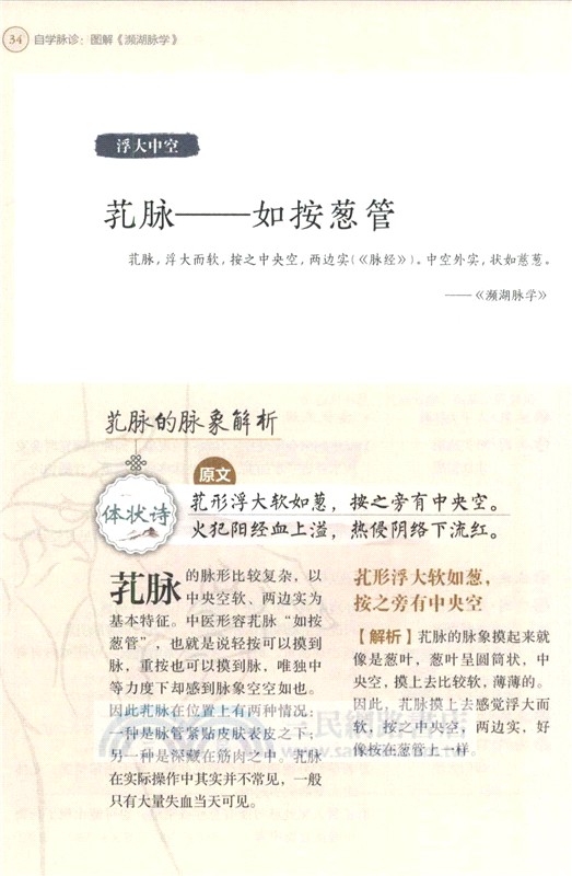 自學脈診：圖解瀕湖脈學(附四言舉要白話解小冊子)（簡體書）