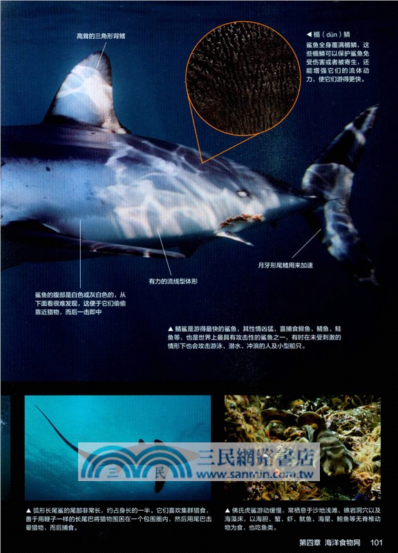 小學生海洋大圖鑒（簡體書）