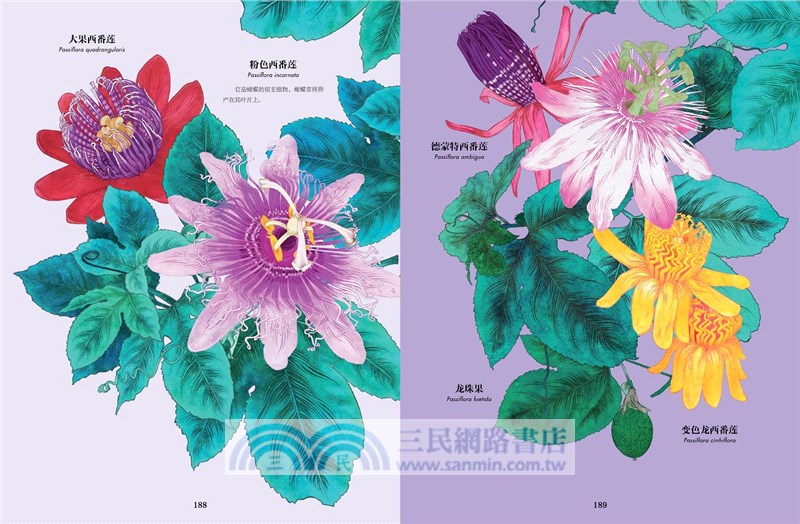 花的姿態：畫筆下的繁花盛宴（簡體書）