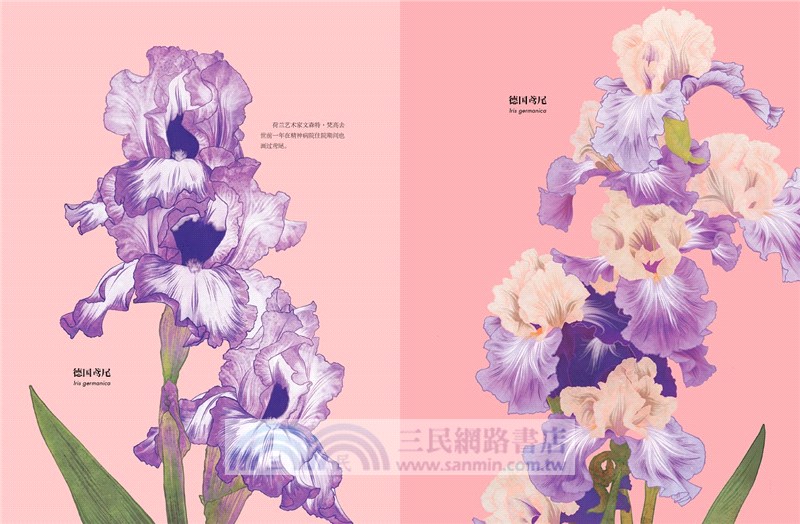 花的姿態：畫筆下的繁花盛宴（簡體書）