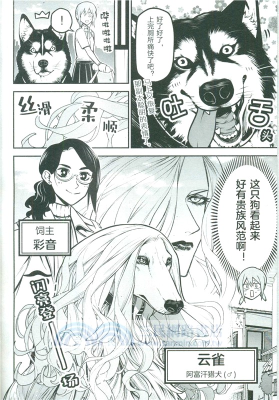 我家碰太變成人類了。1-2(全二冊)（簡體書）