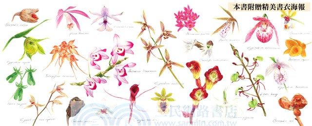 臺灣野生蘭精細插畫明信片：生態畫家林哲緯作品選