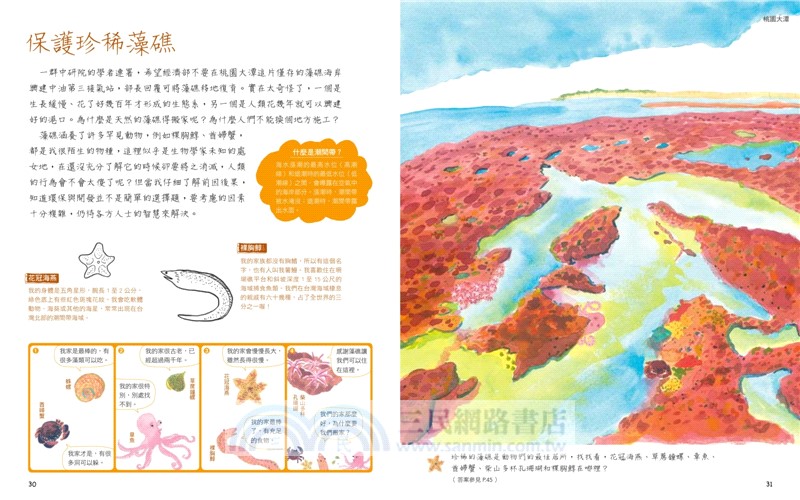 本土自然教室SDGs保育生態套書（台灣生態尋寶趣＋野地漫遊：漫畫＋遊戲＋知識，108課綱環境教育）