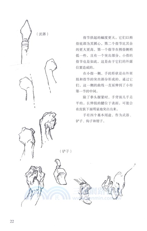 伯里曼畫手（簡體書）