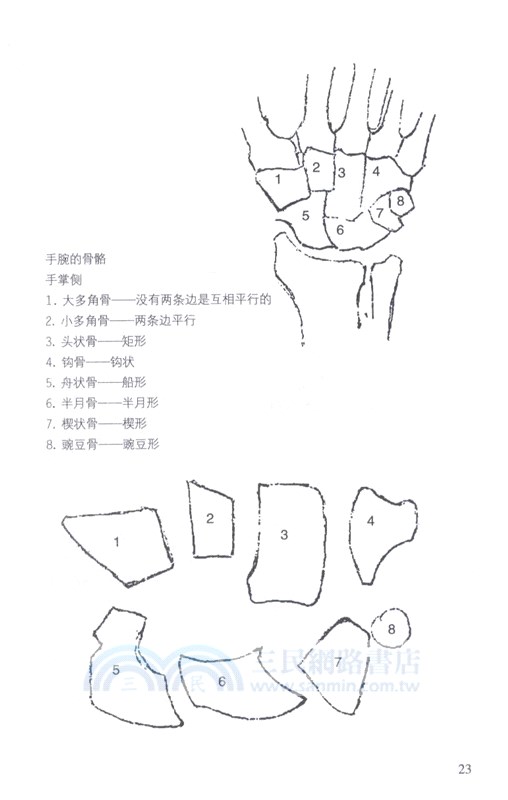 伯里曼畫手（簡體書）