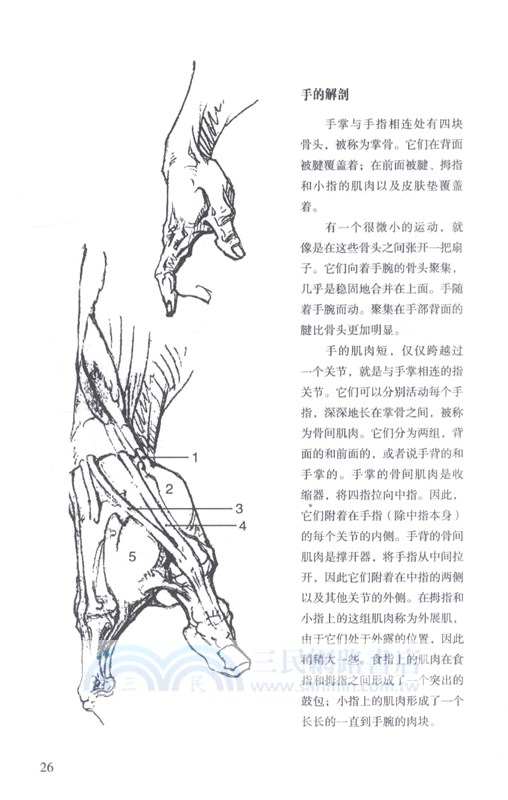 伯里曼畫手（簡體書）