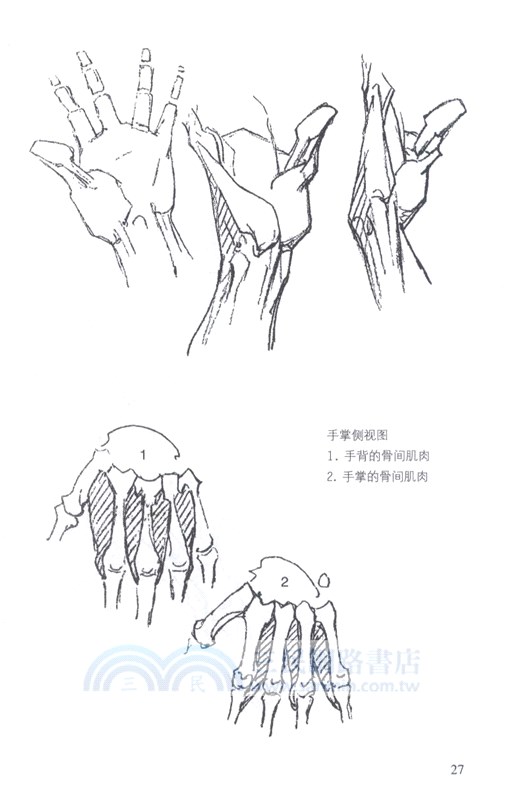 伯里曼畫手（簡體書）