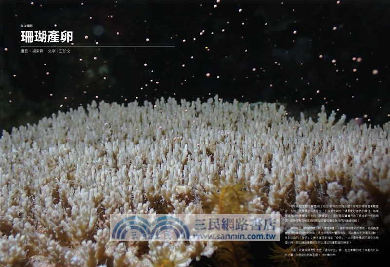 奧秘海洋109期：海洋溝通術