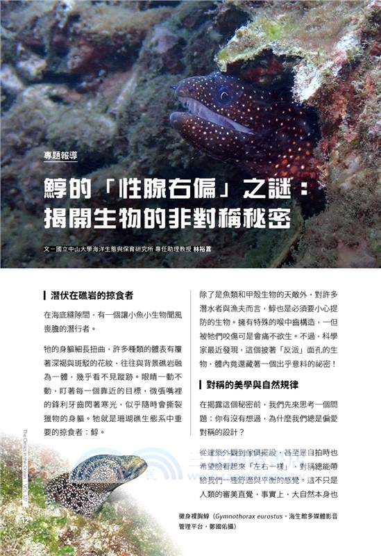 奧秘海洋127期：海洋反派