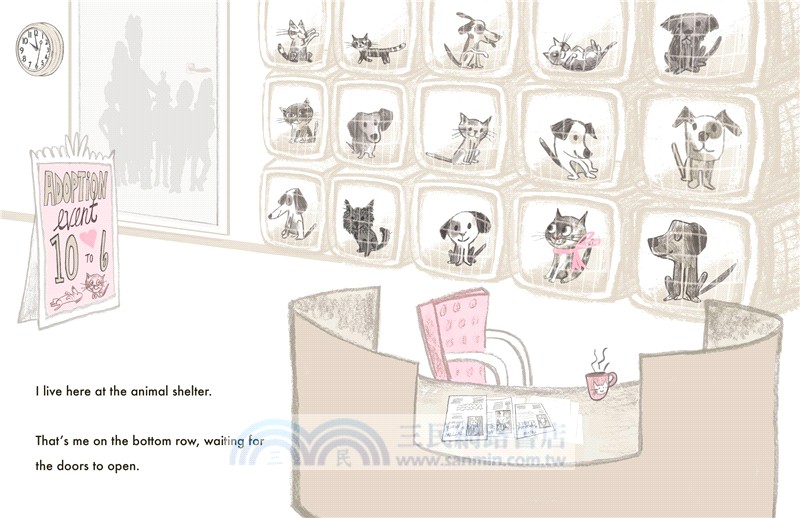 Crouton: One Cat's Adoption Tale