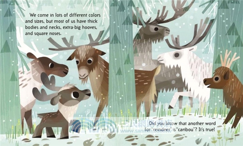 I'm a Reindeer (Little Golden Book)