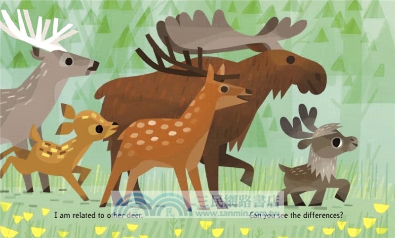 I'm a Reindeer (Little Golden Book)