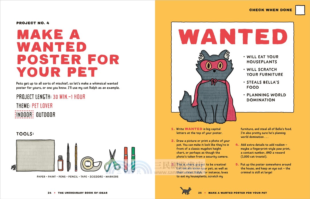 The Unordinary Book of Ideas: Everywhen Projects for Rainy Days