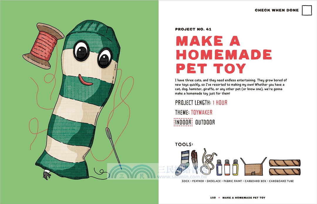 The Unordinary Book of Ideas: Everywhen Projects for Rainy Days