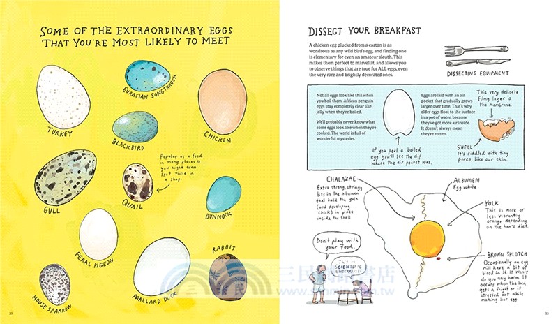 Omnibird: An Avian Investigator's Handbook (The Guardian Best Children's of 2025)