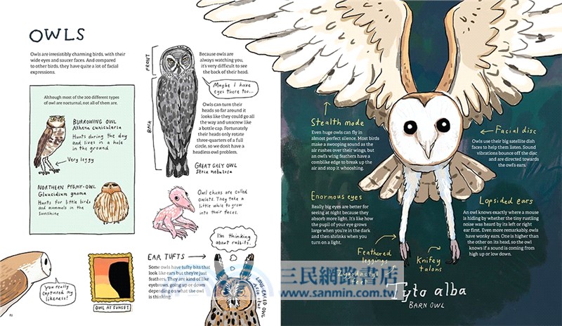 Omnibird: An Avian Investigator's Handbook (The Guardian Best Children's of 2025)