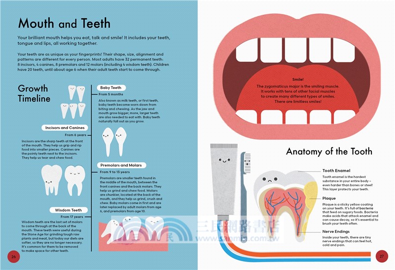 Head to Toe: An Introduction to the Human Body
