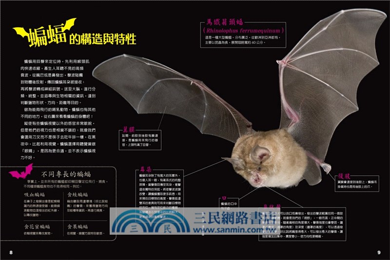 科學閱讀素養套書【革龜、磁力砲彈、超級聖嬰】