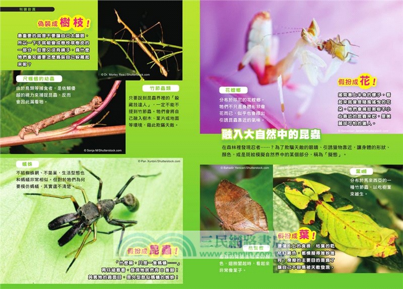 哆啦A夢科學任意門（11-15集）