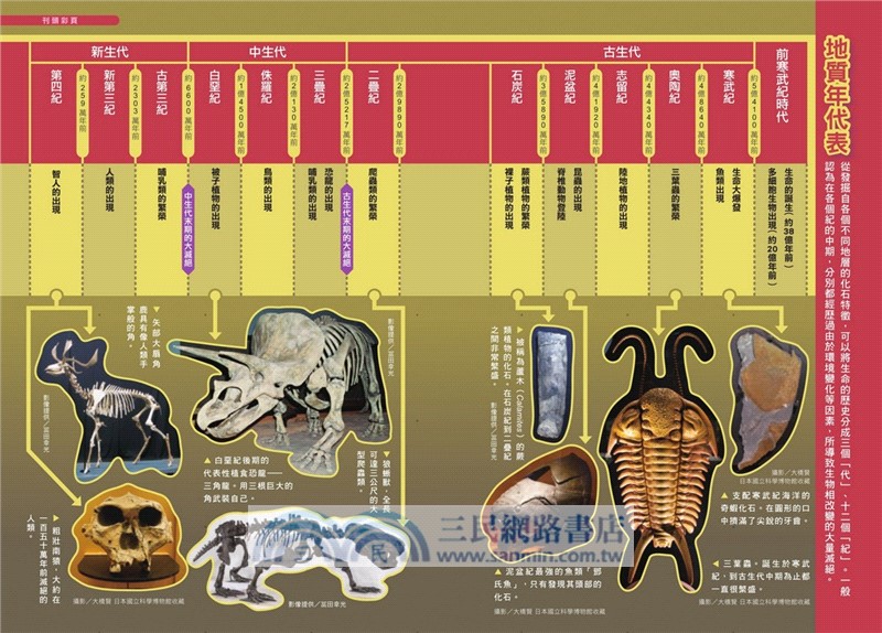 哆啦A夢科學任意門（11-15集）