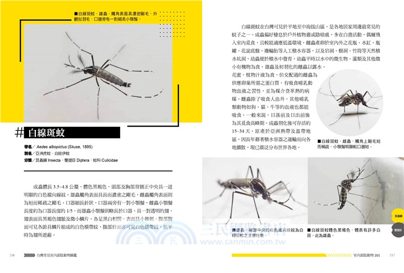 台灣常見室內節肢動物圖鑑：居家常見101種蟲蟲大集合，教你如何分辨與防治