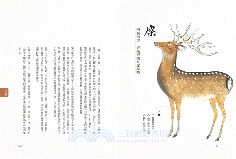 隱世女畫家的自然手繪集：《金石昆蟲草木狀》藥草篇＋花果篇＋動物篇（全三冊）