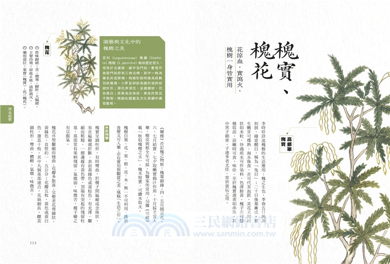 隱世女畫家的自然手繪集：《金石昆蟲草木狀》藥草篇＋花果篇＋動物篇（全三冊）