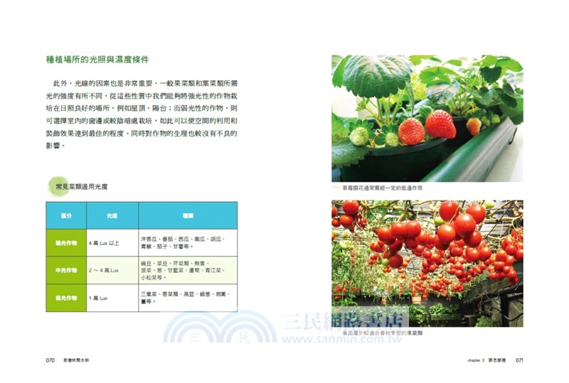 都會休閒水耕：實踐家庭綠化生活，植物蔬果栽培玩賞，田園樂趣豐收美味