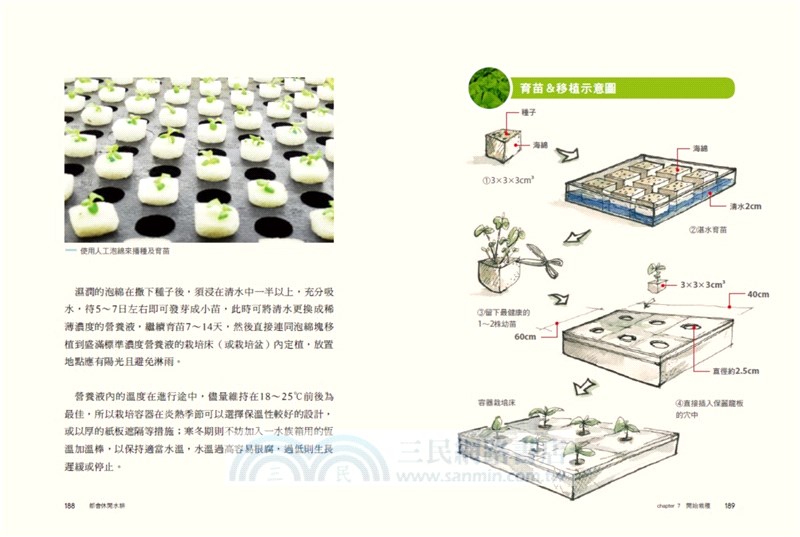 都會休閒水耕：實踐家庭綠化生活，植物蔬果栽培玩賞，田園樂趣豐收美味