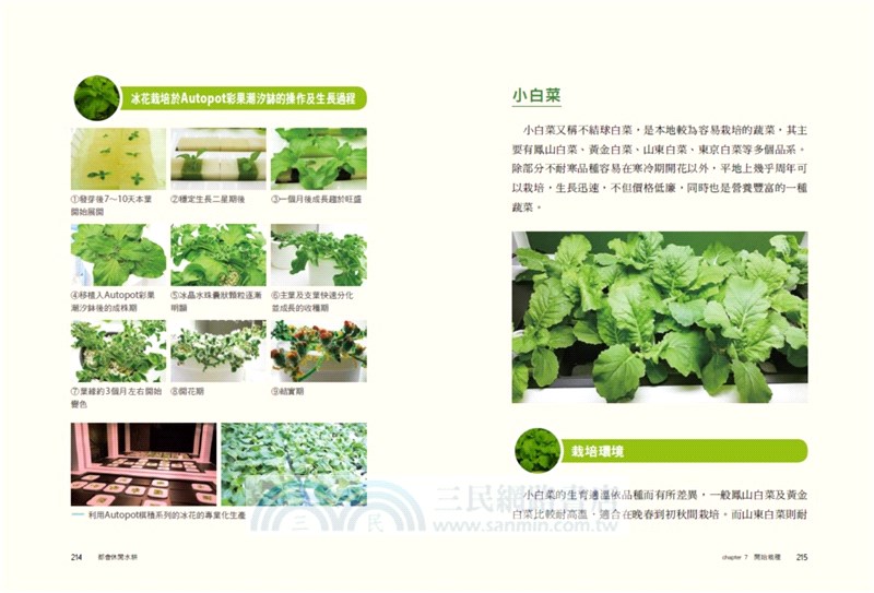 都會休閒水耕：實踐家庭綠化生活，植物蔬果栽培玩賞，田園樂趣豐收美味