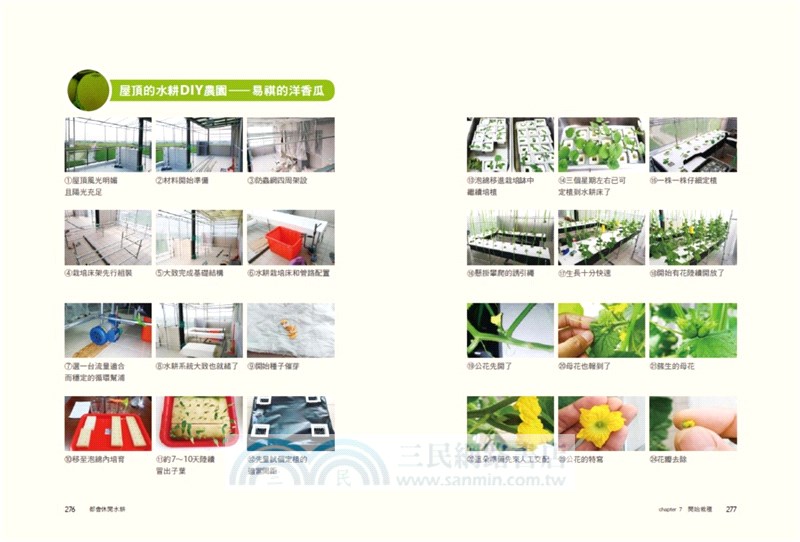 都會休閒水耕：實踐家庭綠化生活，植物蔬果栽培玩賞，田園樂趣豐收美味