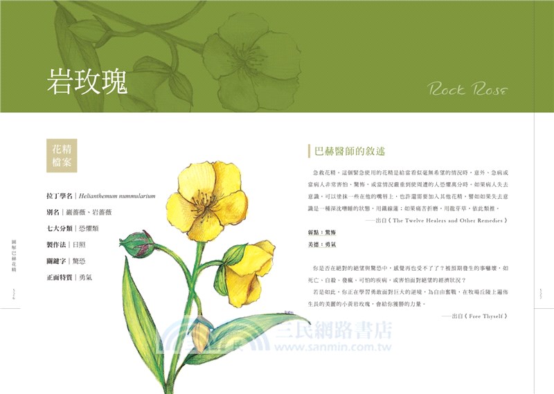 圖解巴赫花精：解析創傷、釋放壓力，療癒心靈與情的最佳解方