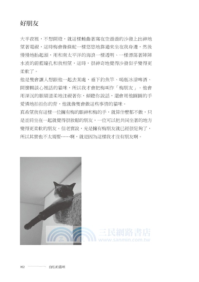 向貓咪學習生活哲學：貓的生活方式比我們人類想像中的更富哲理！