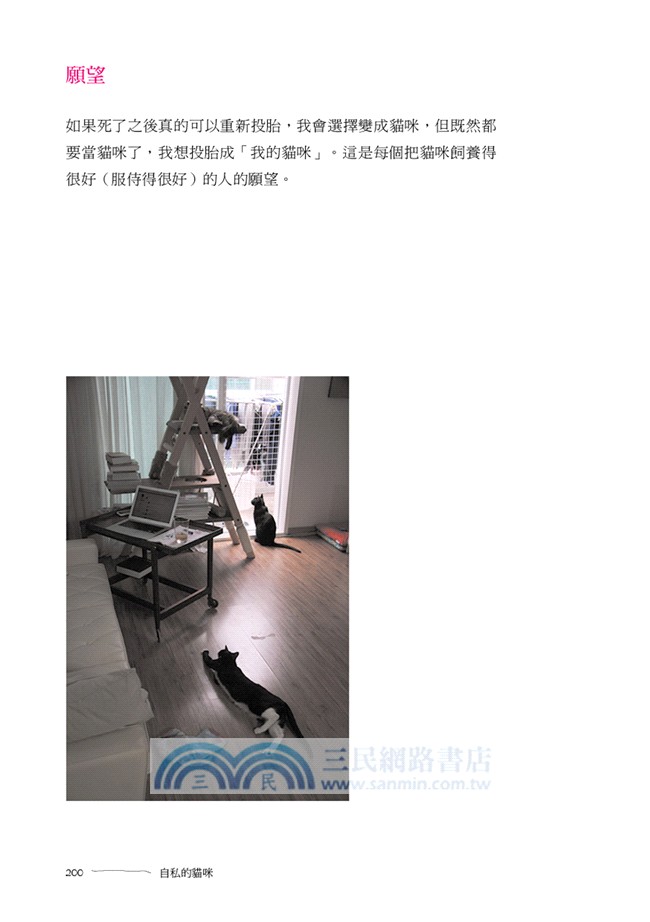 向貓咪學習生活哲學：貓的生活方式比我們人類想像中的更富哲理！