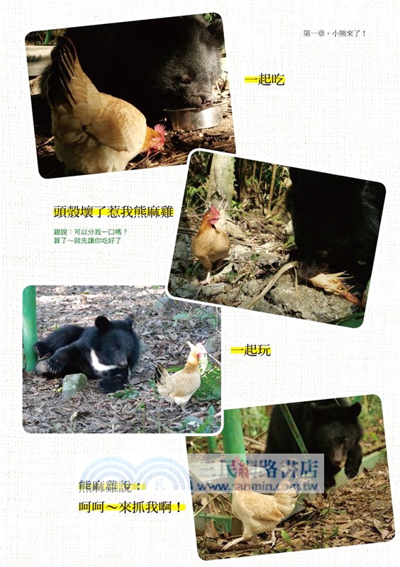 小熊回家：南安小熊教我們的事