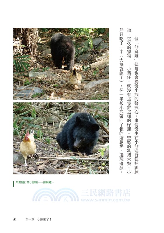 小熊回家：南安小熊教我們的事