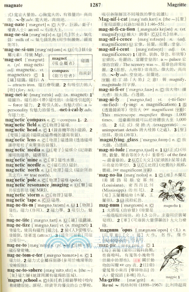 三民進階英漢辭典