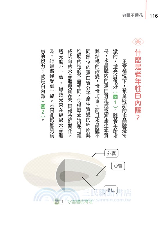 老眼不昏花：銀髮族的視力保健