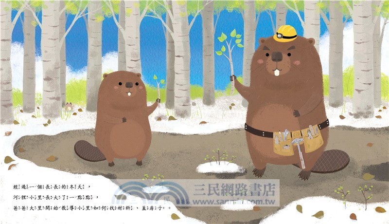 小里的建築夢－河狸的水壩工程學