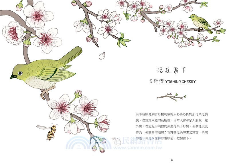 願我化作一棵樹：學習人生中幸福的必修課