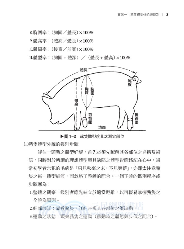 牧場實習：中小型家畜篇
