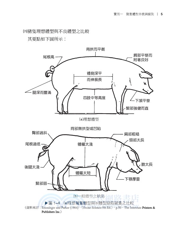 牧場實習：中小型家畜篇