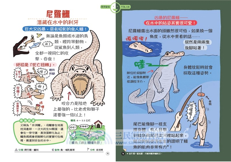 表裡不一的動物超棒的 圖鑑 三民網路書店