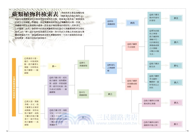 蕨類觀察圖鑑01 基礎常見篇 三民網路書店