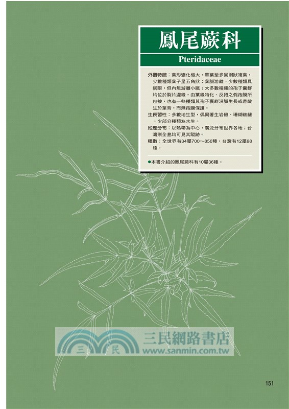 蕨類觀察圖鑑01：基礎常見篇