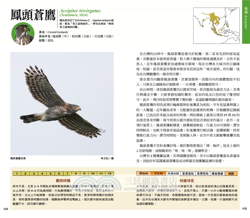 猛禽觀察圖鑑 全新增訂版 A Field Guide To The Raptors Of Taiwan 三民網路書店